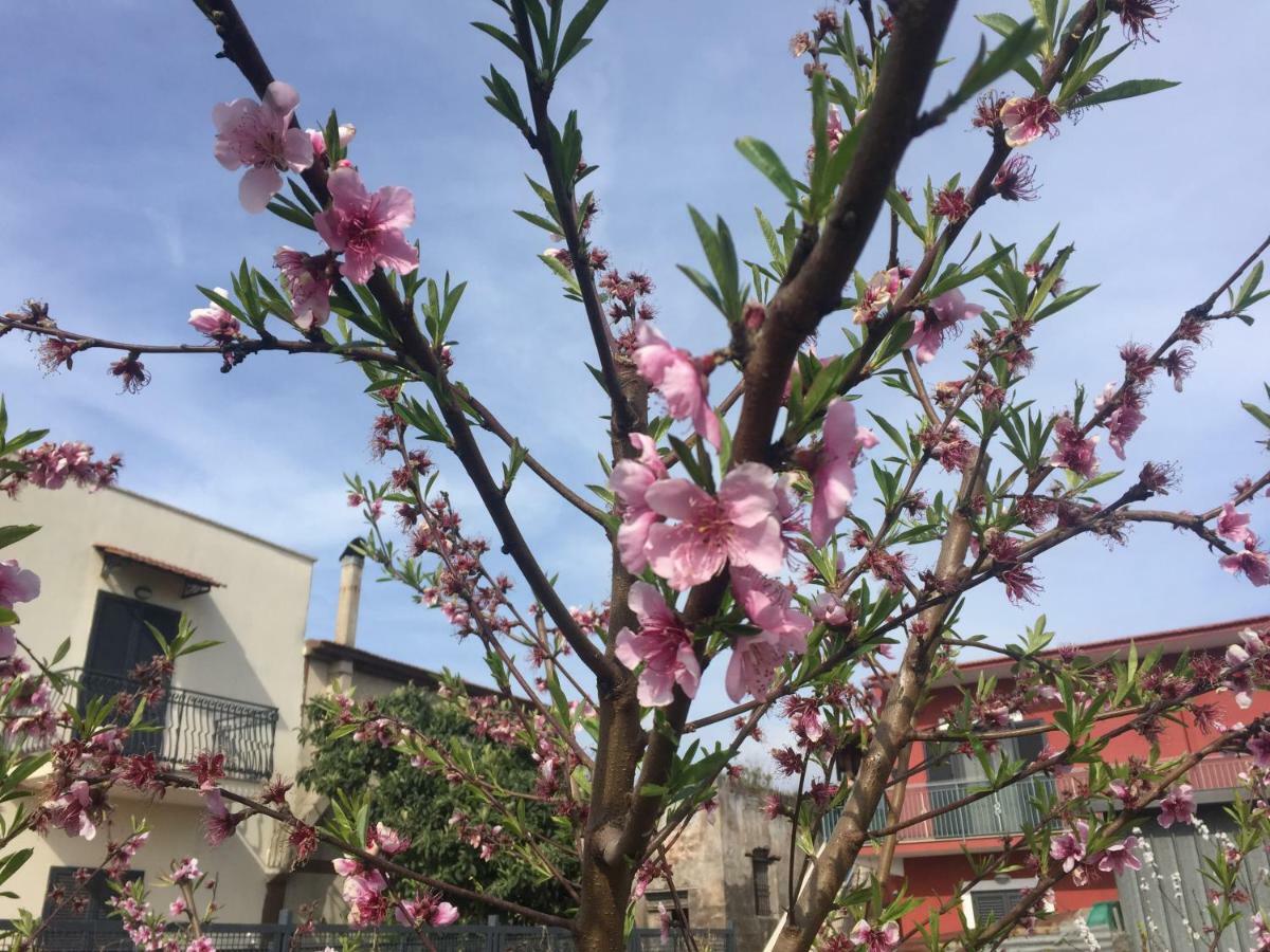 Il Giardino Di Nonno Agostino Bed and Breakfast Castellammare di Stabia Exterior foto