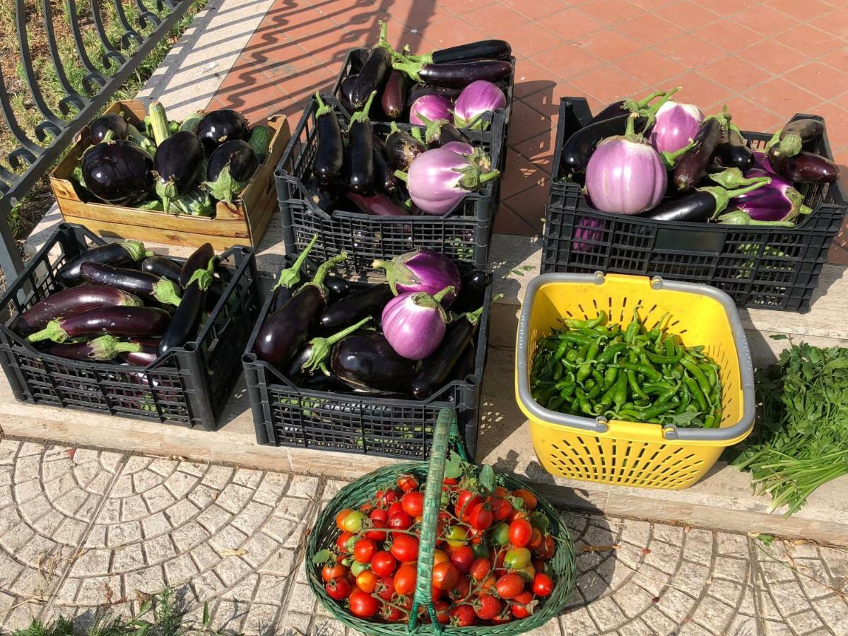 Il Giardino Di Nonno Agostino Bed and Breakfast Castellammare di Stabia Exterior foto